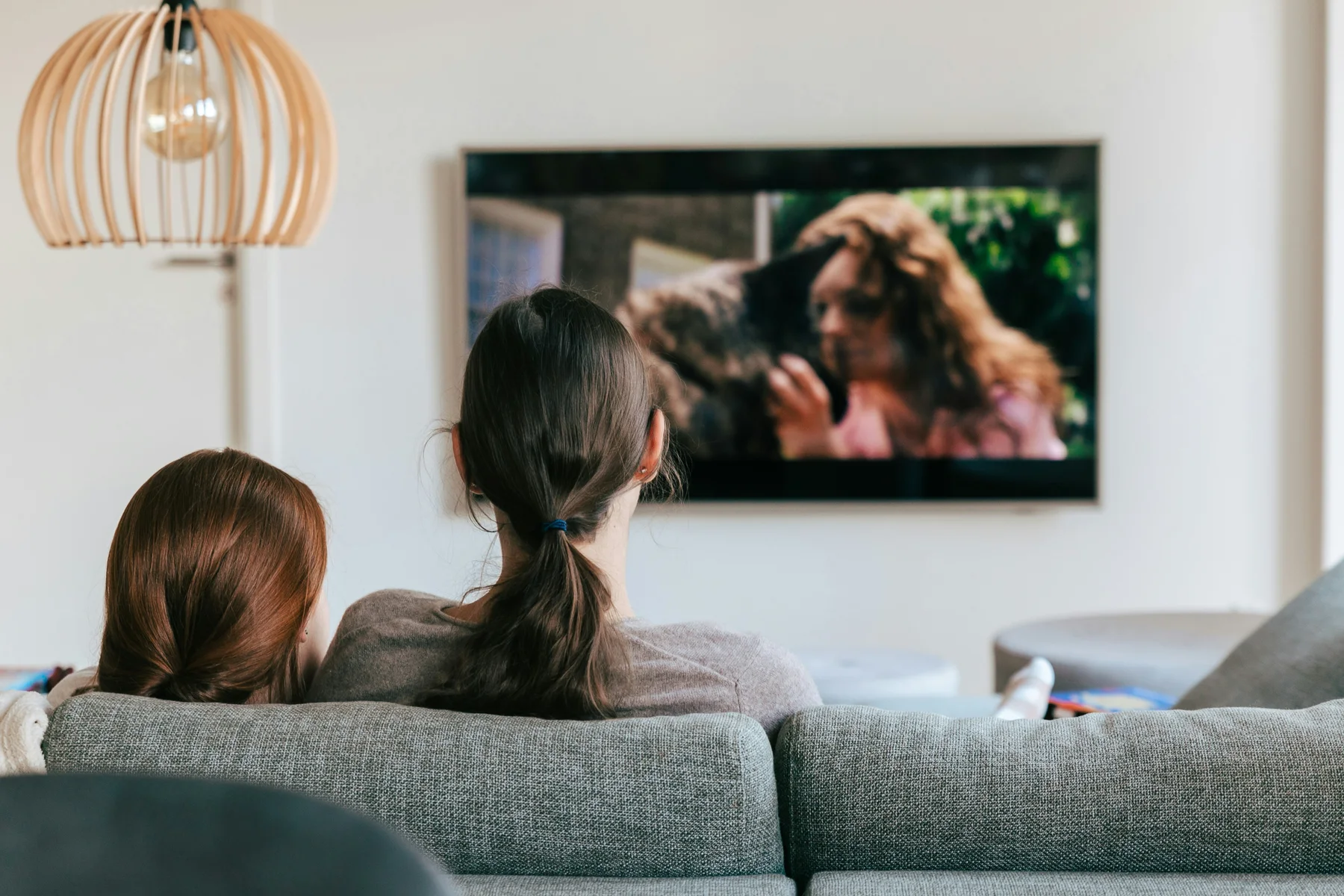 People enjoying television together in a bright, comfortable living room